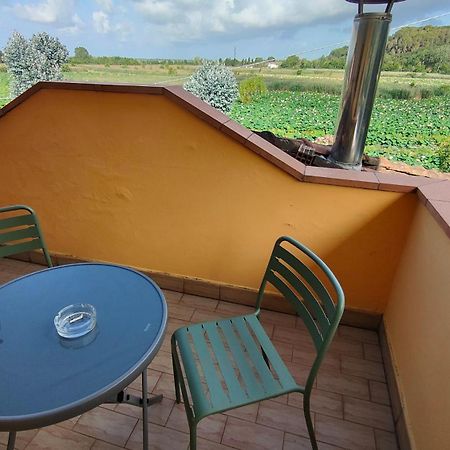 Cecco Di Nara Hotel Масароза Екстериор снимка